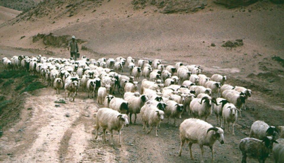 宁夏，历史印记与时代步伐的交融