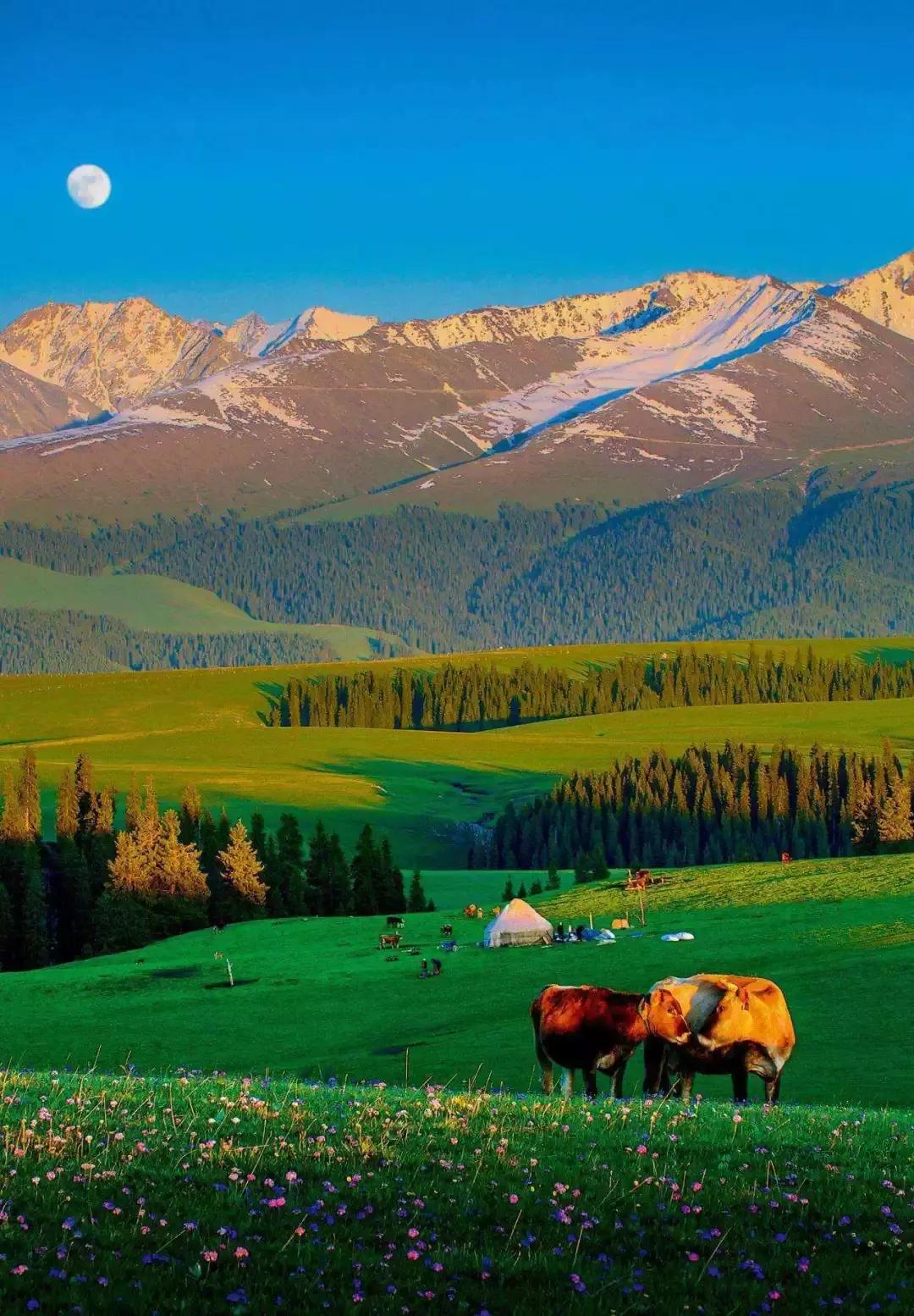 新疆，梦想起航之地，学习照亮自信之路